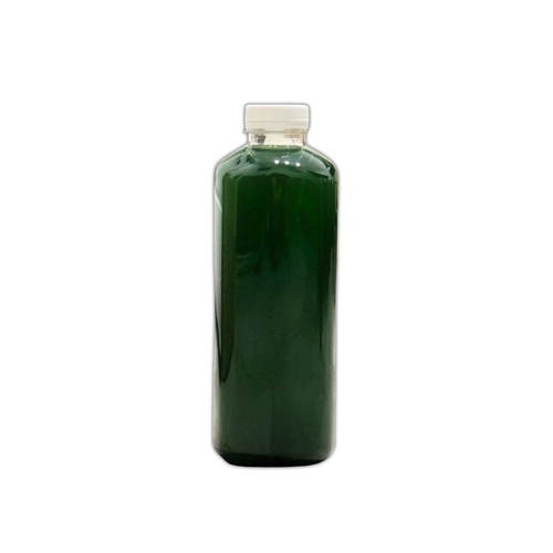 Fitoplankton 1000 ml