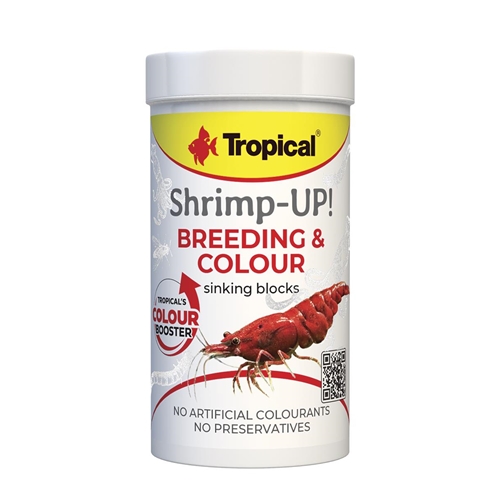 TROPICAL SHRIMP-UP! BREEDING&COLOUR 10G