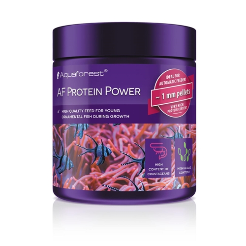 AF Protein Power 120g
