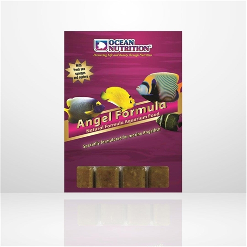 ON Frozen Angel Formula 100g