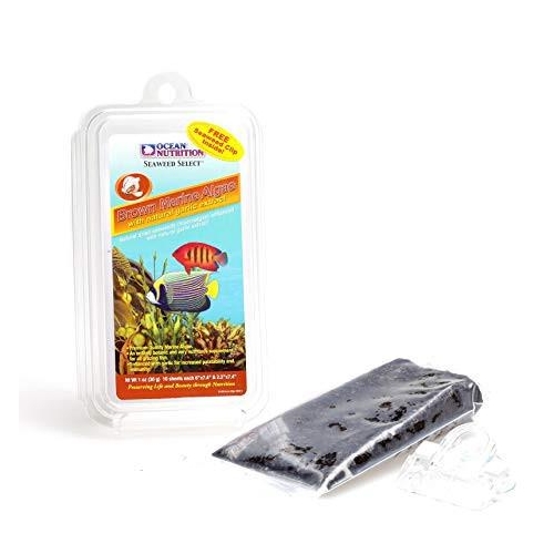 ON Seaweed Brown 30 g z klipsem