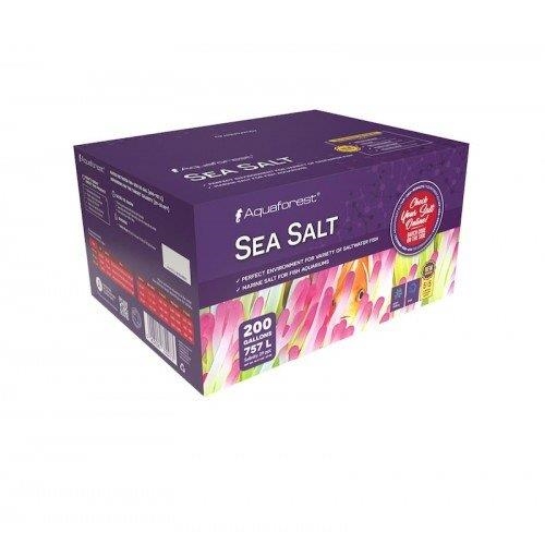 Sea Salt 25kg Box
