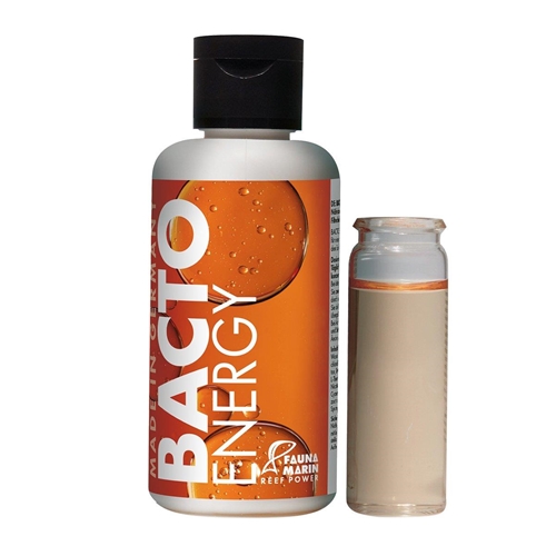 FM Bacto Energy 100ml