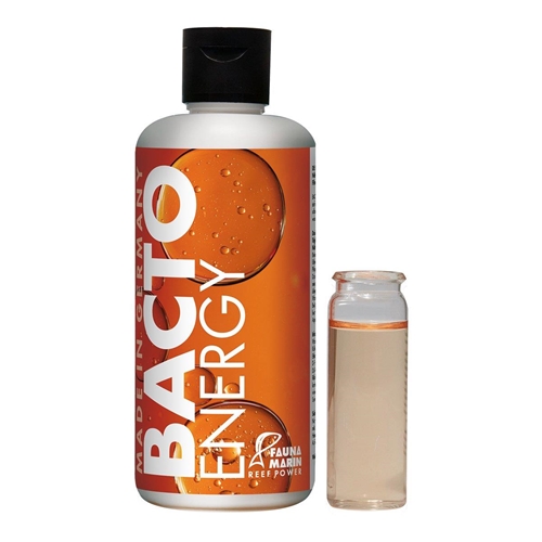 FM Bacto Energy 250ml