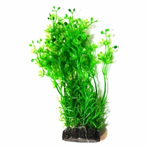AQUAEL ROŚLINA KĘPKOWA CP-057 6 (15CM)