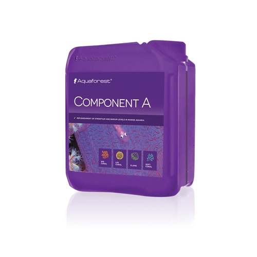 Component A 2L