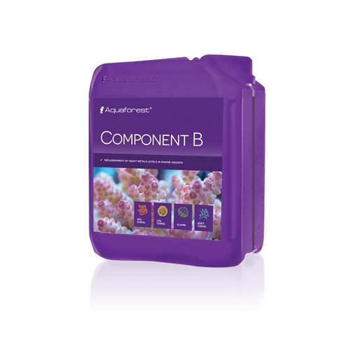 Component B 2L