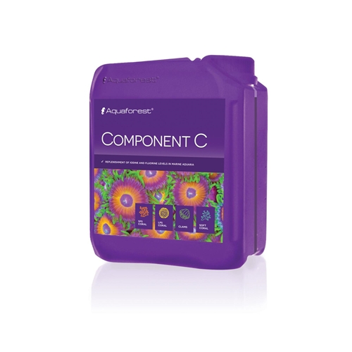 Component C 2L