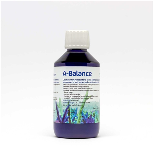 KZ A-Balance 100