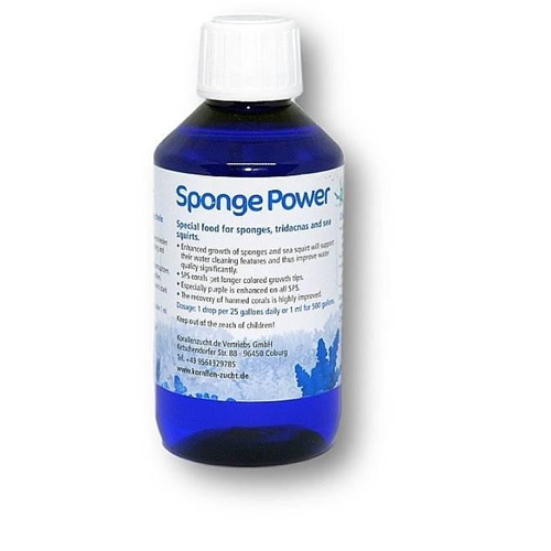 KZ Sponge Power 250ml