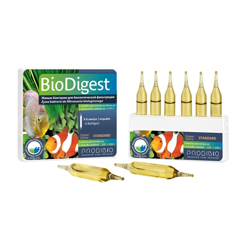 BioDigest 6amp