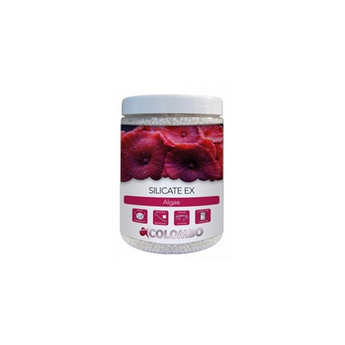 Colombo Silicate Ex 1000 ml